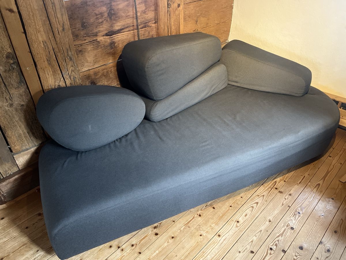 Divani: Designer-Sofa mosspink von Brühl – Usato da Wohlenschwil venduto da SmokyAnnie