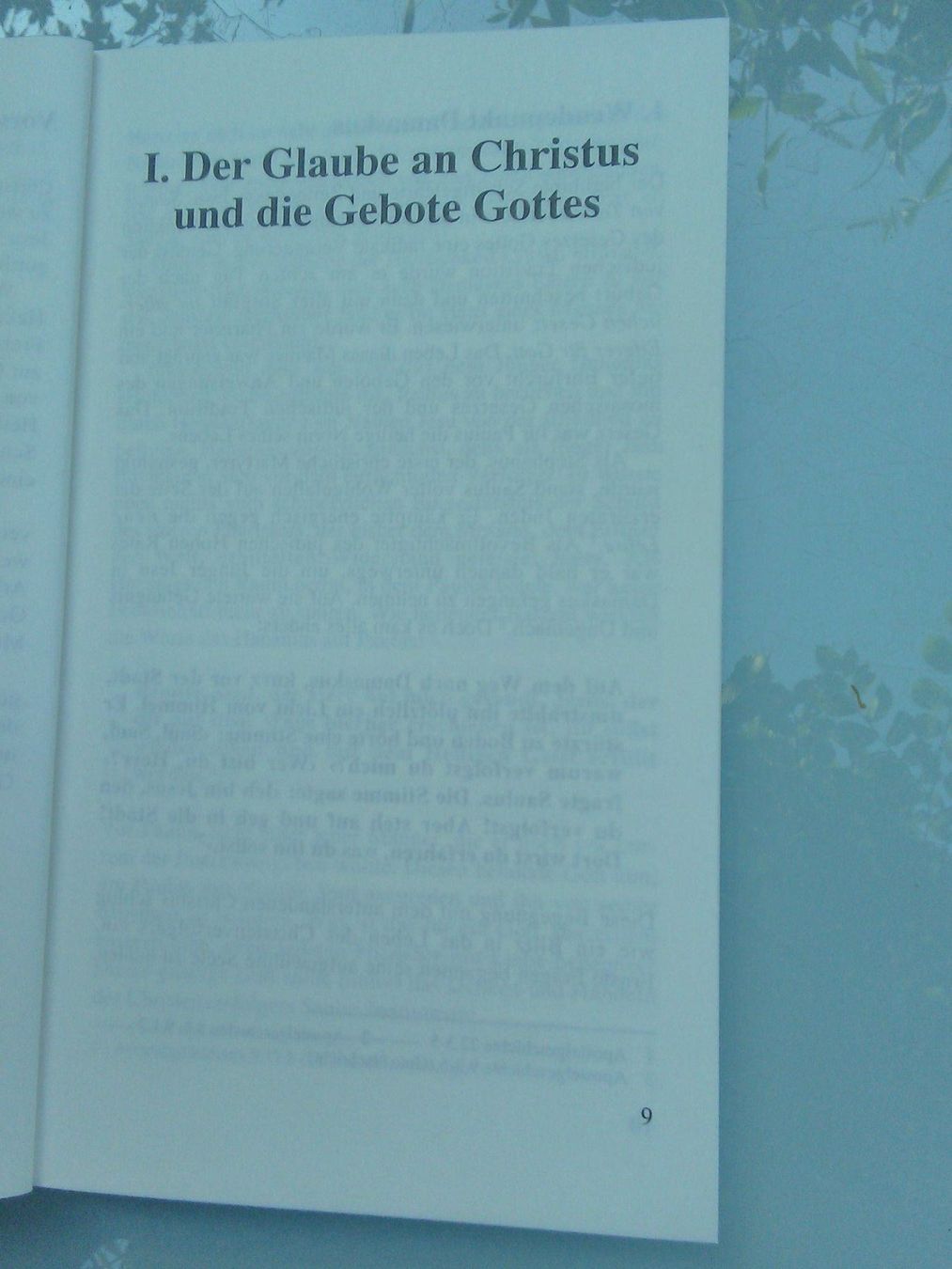 Libri: Aber am siebten Tag.... - Ein fast vergessenes Geschenk – Nuovo (secondo la descrizione) da St. Gallen venduto da elk2020 6