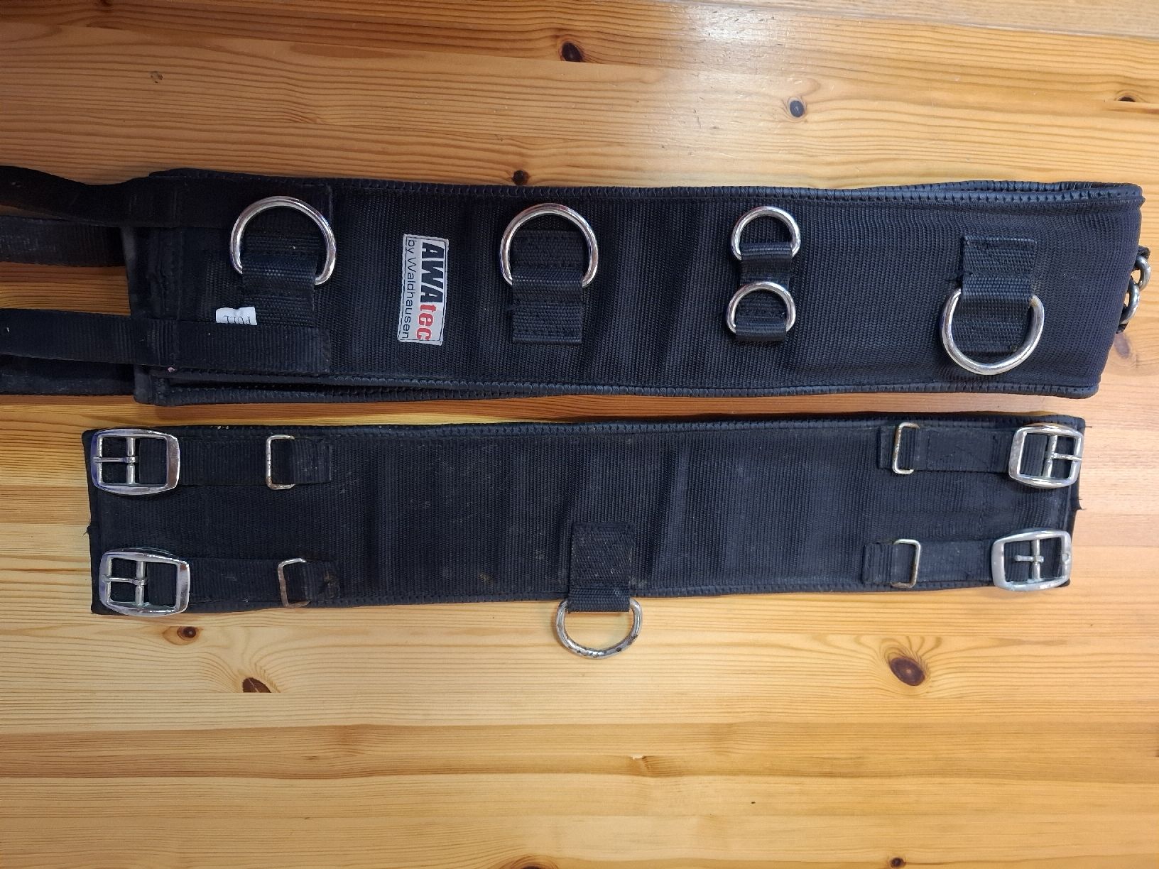 Briglie & Cavezze: Longiergurt Full – Usato da Winterthur venduto da lea_ktj2