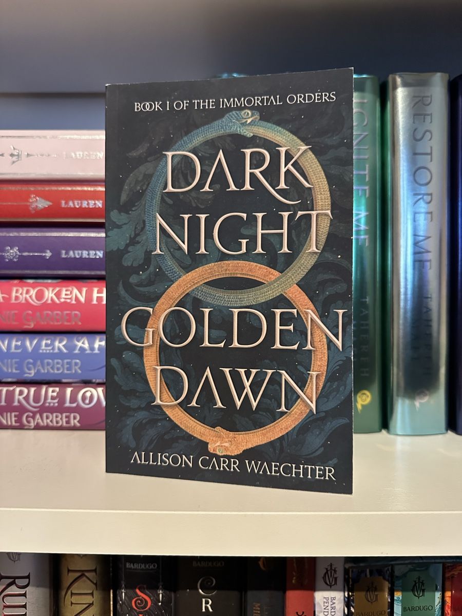Libri: Dark Night Golden Dawn Allison Carr Waechter – Usato da Chur venduto da cav_qqm5
