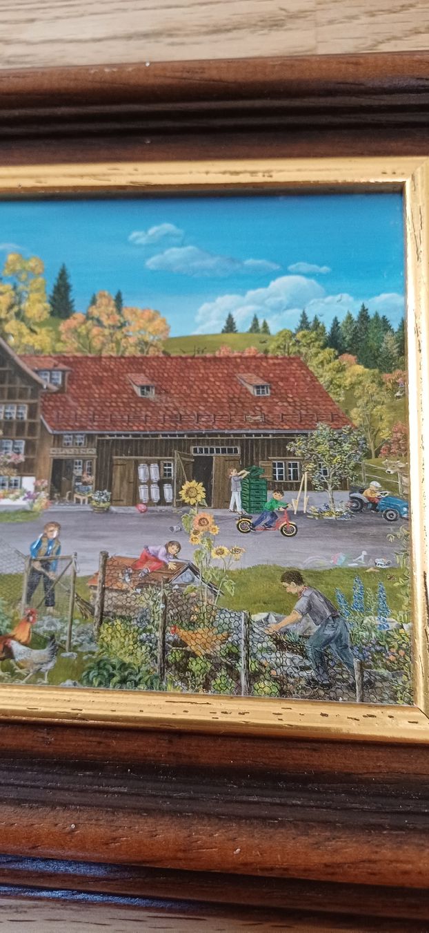 Foto & Immagini: Schönes Appenzeller Bild – Usato da Flawil venduto da Naphtali 7