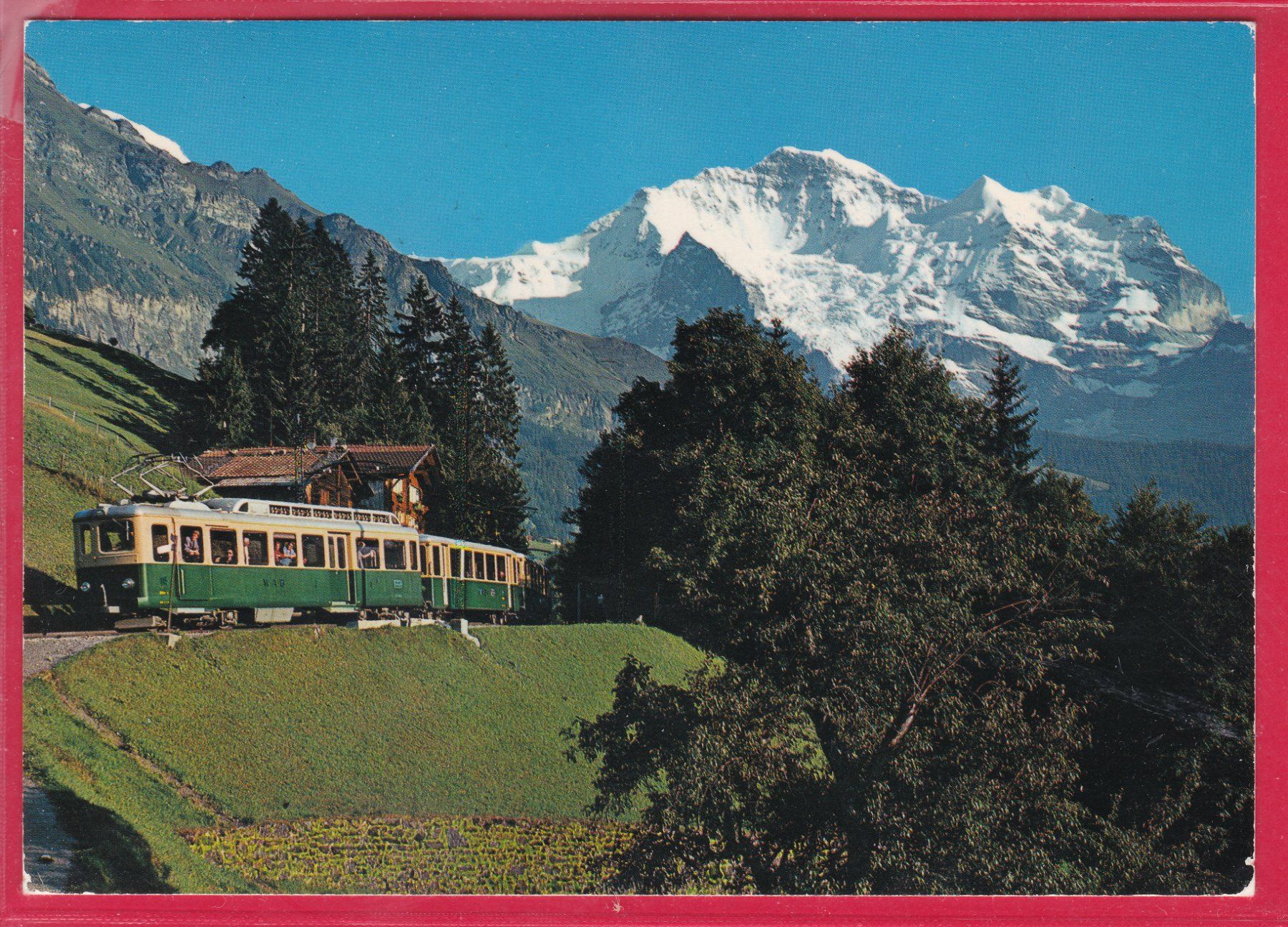 Cartoline postali: WENGERNALP-BAHN MIT JUNGFRAU, 24.7.1981 – Usato da Oberrieden venduto da Gebirgsstelze