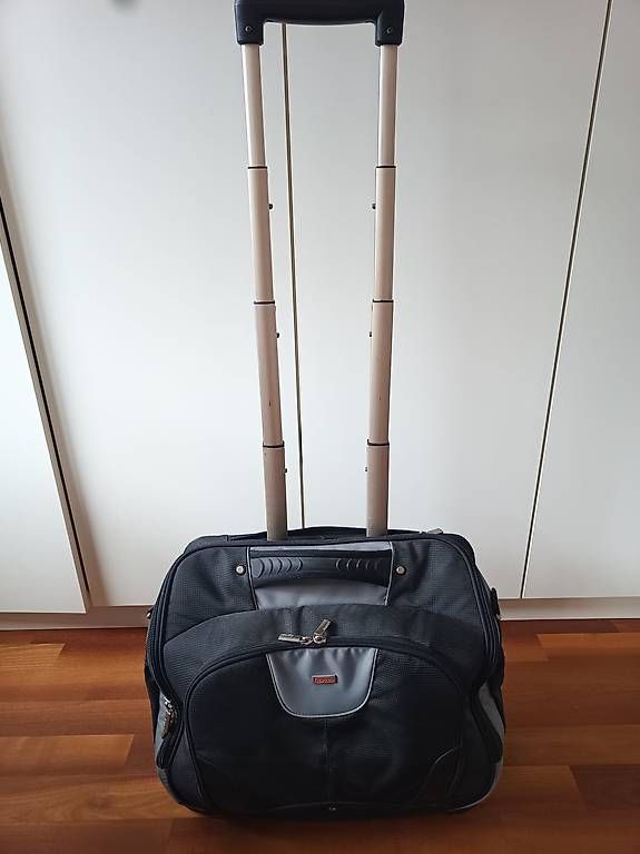 Altro in Aeronautica: HAMA Business Rolltrolley Rollkoffer – Usato da Unterseen venduto da patkoono