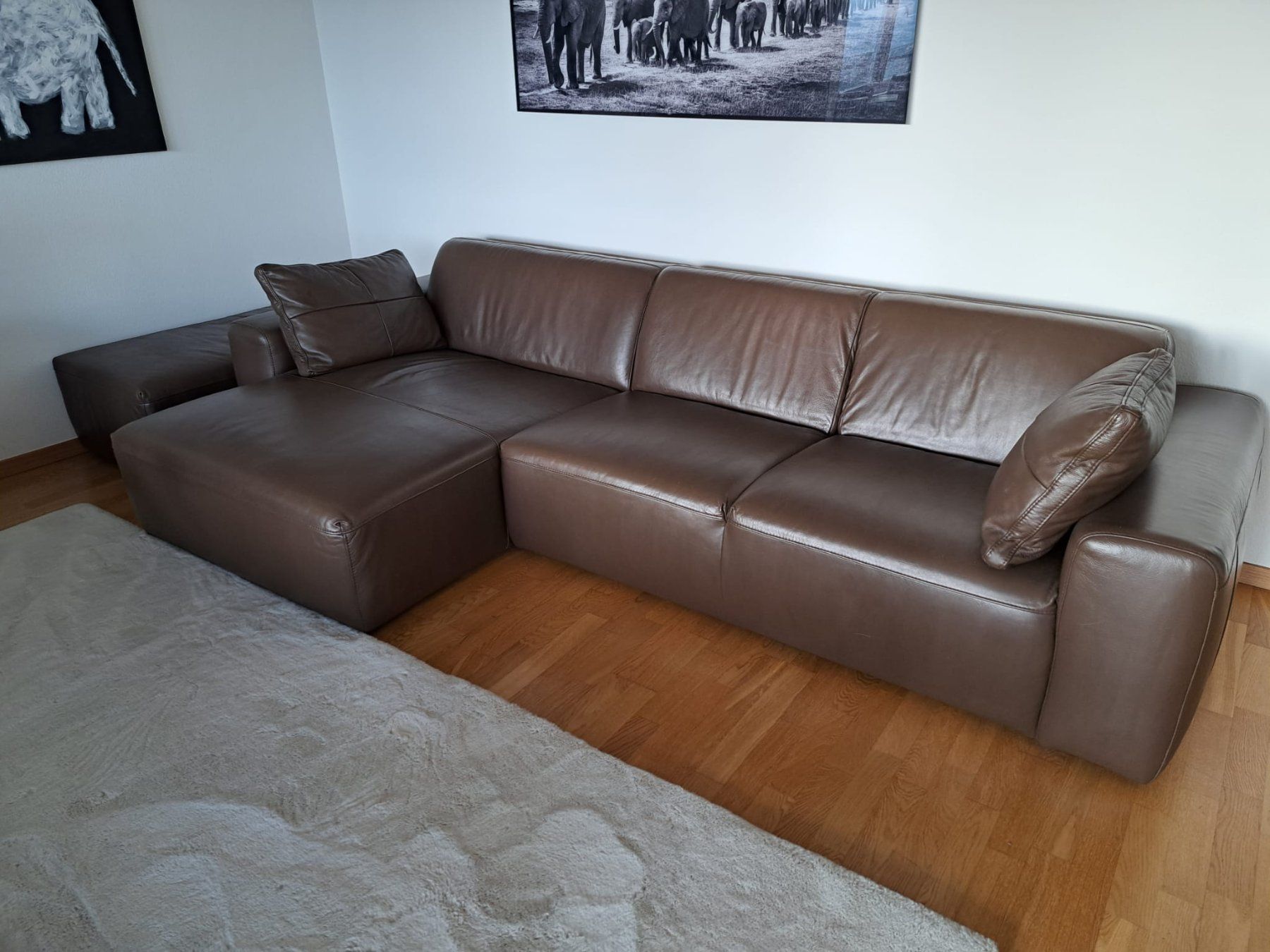 Interio Divani: Elegante Leder Couch -  braun – Usato da Männedorf venduto da ste_9lfs