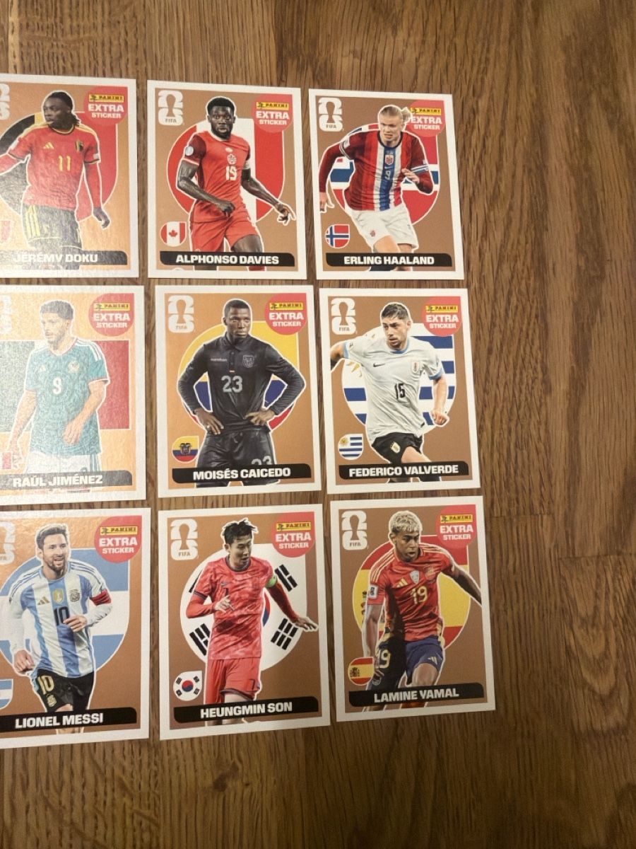 Panini Carte collezionabili: 13 Bronze Extra Sticker rare panini 2026 – Nuovo (secondo la descrizione) da Basel venduto da samuelfr 2