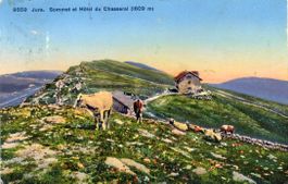 Chasseral  BE  (Jura) - Sommet et Hôtel du CHASSERAL um 1930
