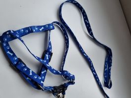 Leine mit Halsband  100 cm Hundeleine