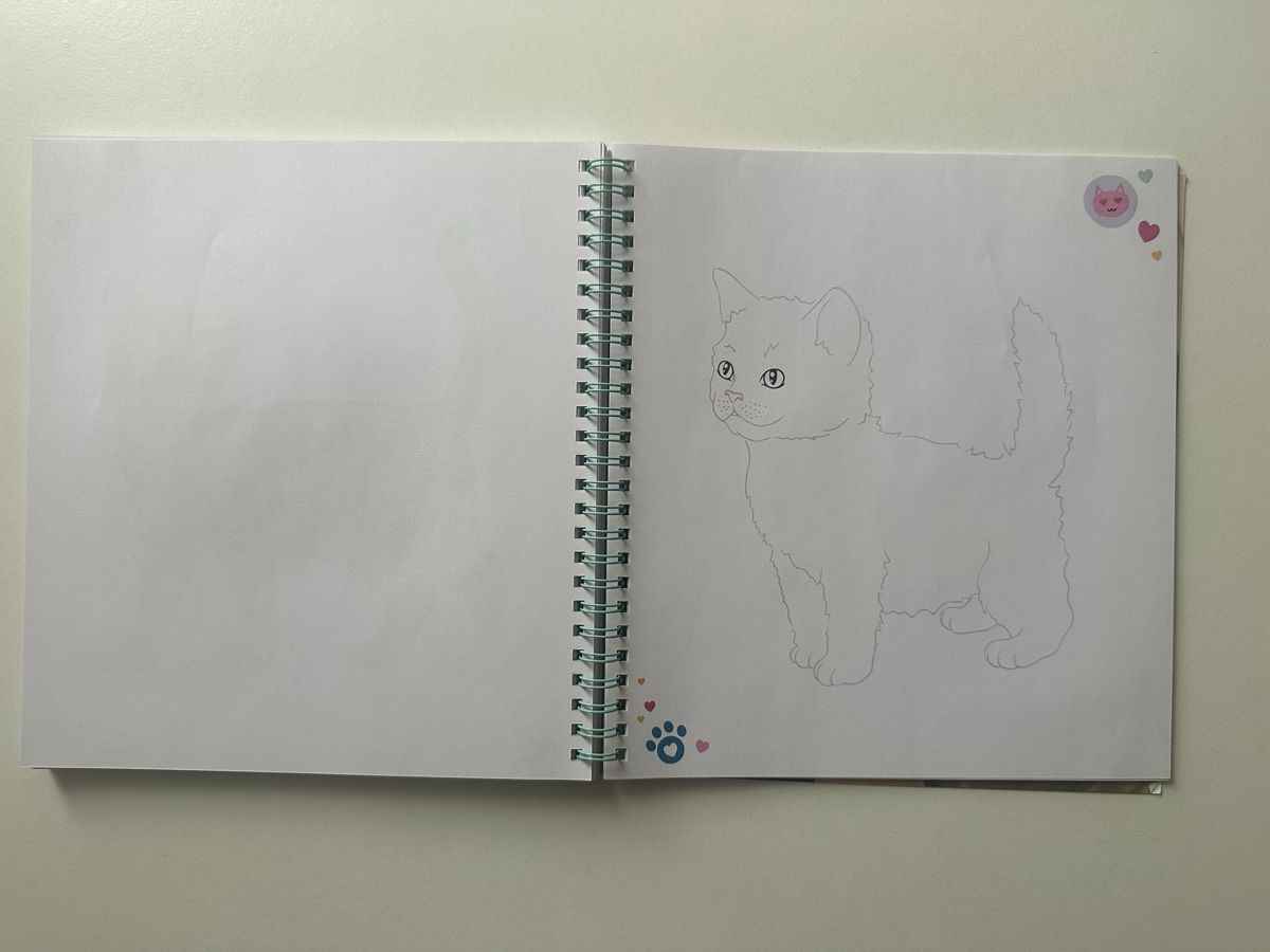 Bücher: Top Model Malbuch und Stickerheft Katze – Neu und originalverpackt aus Uetendorf von Gar_9pvy 5