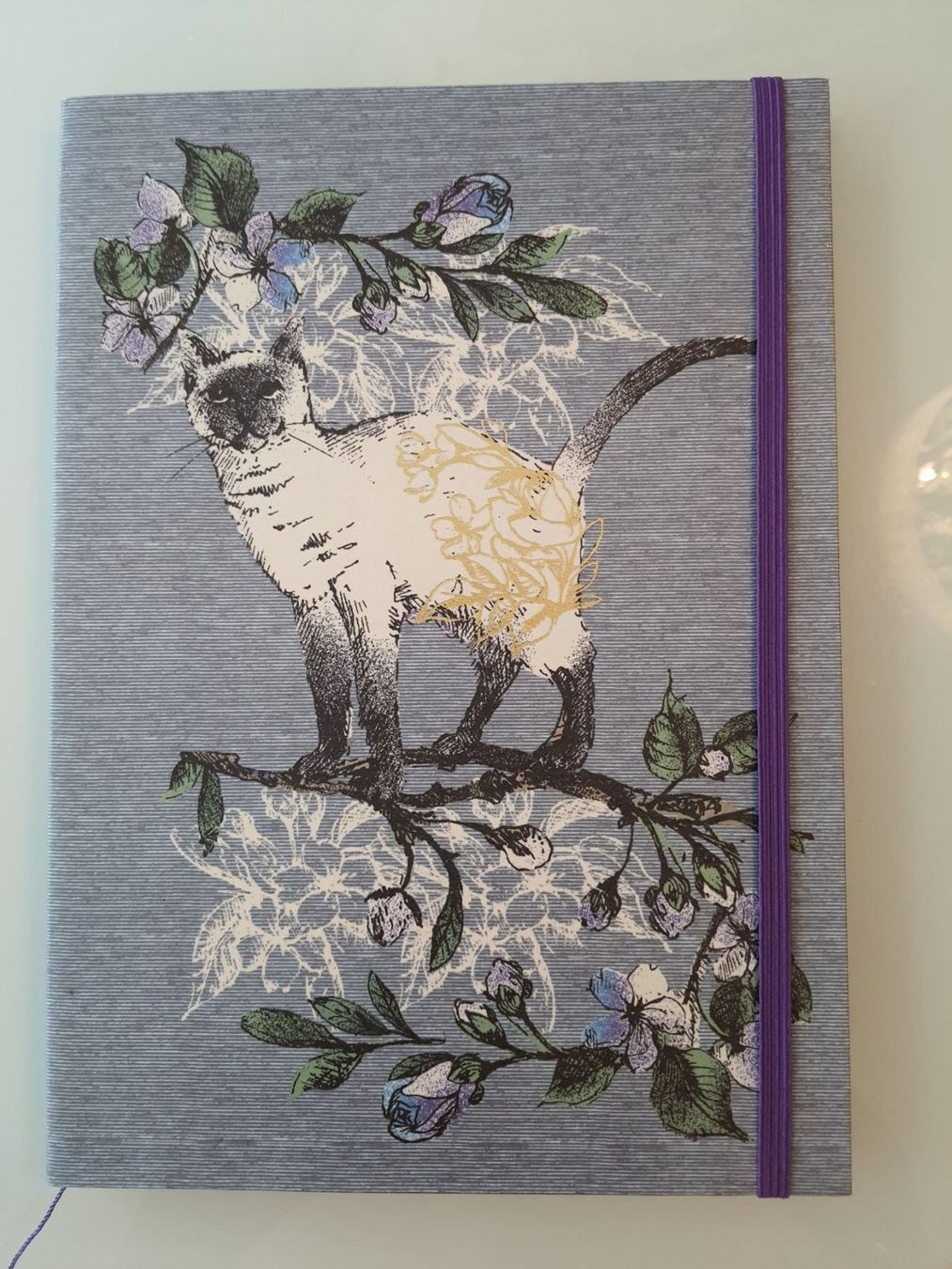 Blocchi: Notizbuch Katze A4 - Geschenke – Nuovo (secondo la descrizione) da Zollikerberg venduto da Sell-Buy-it