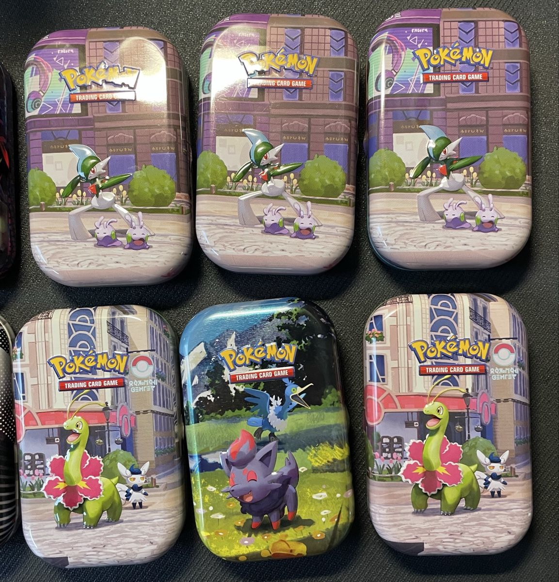 Pokémon Carte collezionabili: Pokemon Mini Tins Empty 12x – Usato da Wallisellen venduto da Optimalex 3