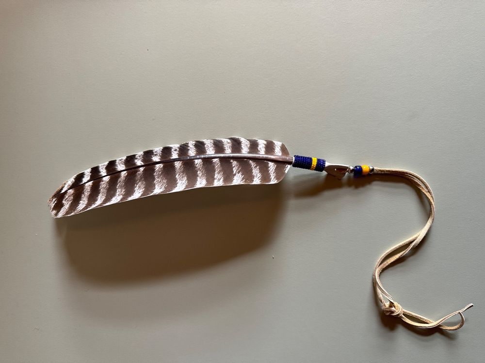 2x Schmuck Organizer Aufhängend - Filz Aufbewahrung Für Bis Zu 600 Ohrringe