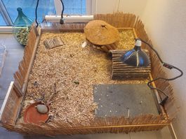 Terrarium intérieur pour tortue Fait main 137 × 137
