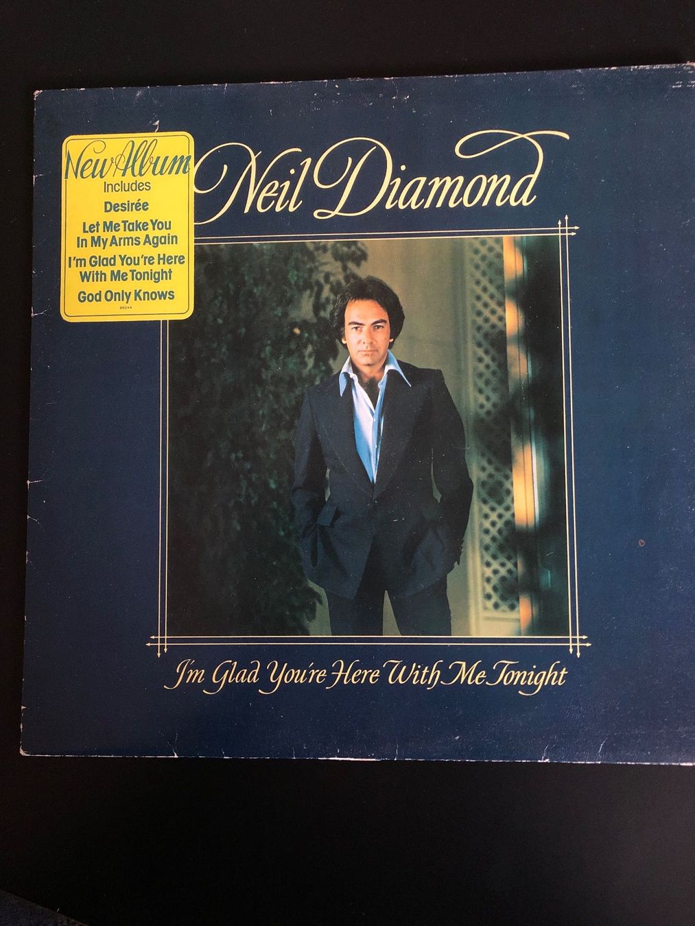 Dischi in vinile: Neil Diamond – Nuovo (secondo la descrizione) da Aeschi SO venduto da Stones55