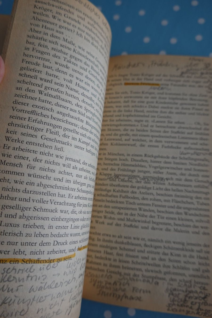 Libri: Thomas Mann - Tonio Kröger, Mario und der Zauberer – Usato da Jona venduto da JOberg_25 5
