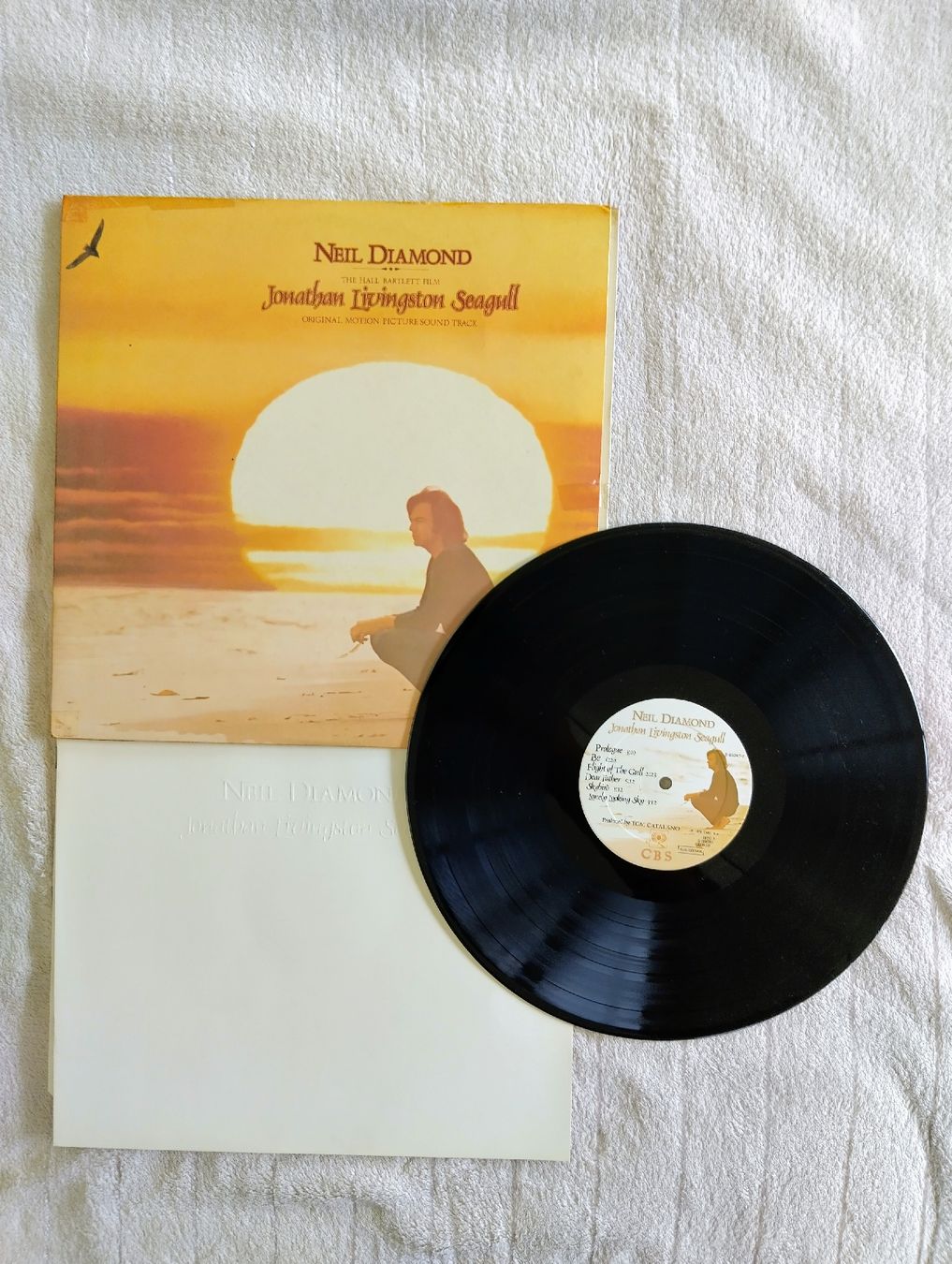 Dischi in vinile: Neil Diamond - Jonathan Livingston Seagull, – Usato da Reconvilier venduto da mpa_7b2k