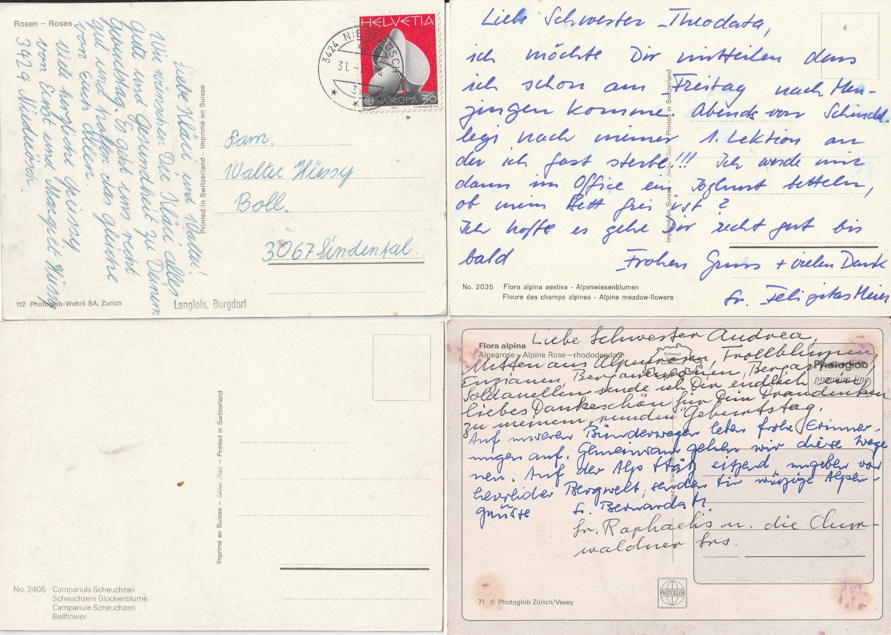 Cartoline postali: 4 Schöne Blumenkarten – Usato da Lumbrein venduto da made02 1
