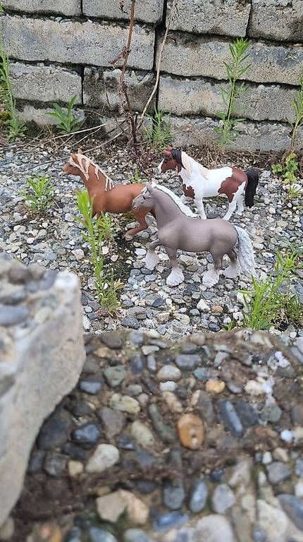 Giocattoli: Set de chevaux Schleich  – Usato da St-Sulpice VD venduto da rog_c28g