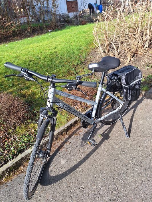Biciclette: Damenvelo – Usato da Buchs SG venduto da gibol