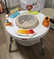 Skip Hop Aktivitätsspielzeug Baby