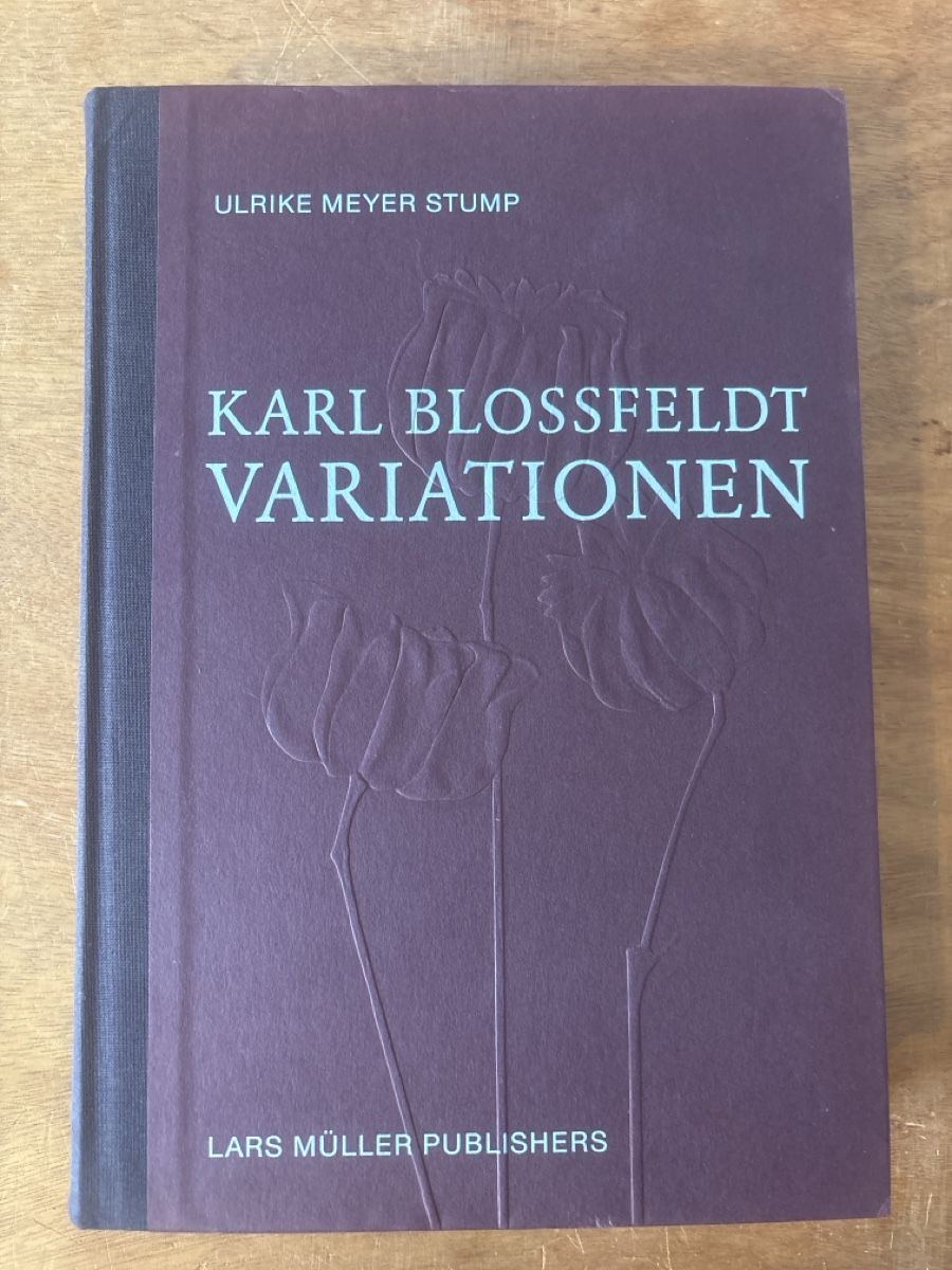 Libri: Karl Blossfeldt: Variationen, Ulrike Meyer Stump – Usato da Zürich venduto da WWehrle