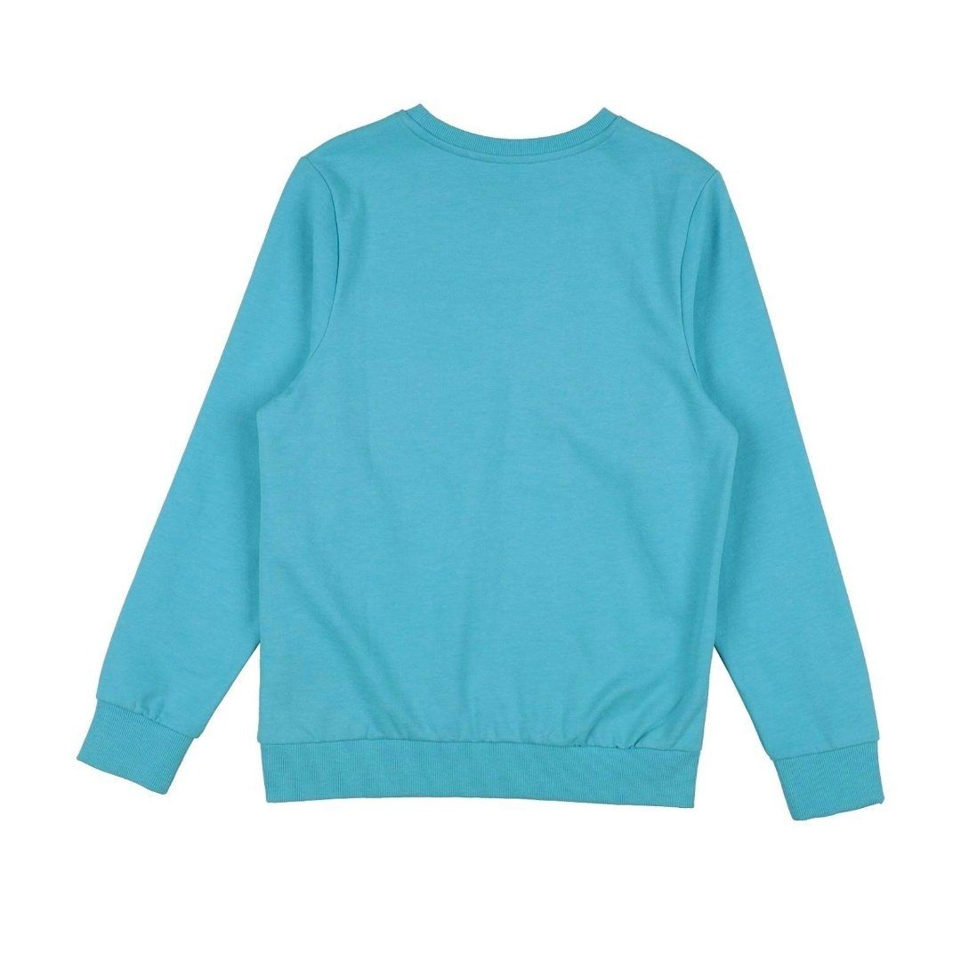 Name It Pullover & Sweatshirts: NEW sweatshirt Name It (152 cm) – Neu (gemäss Beschreibung) aus Origlio von ann_q6qv 1