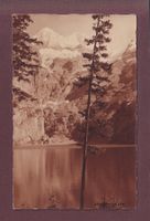 OESCHINENSEE - 1920 - J. Flück