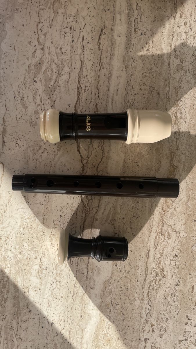 Strumenti musicali: Sopranino Blockflöte AULOS 507B-E – Usato da Olten venduto da LaraBuettiker 1