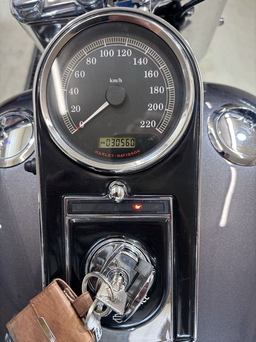 Harley-Davidson Altro: Harley Davidson Fat Boy Flstf – Usato da Birr venduto da Rosa74 2