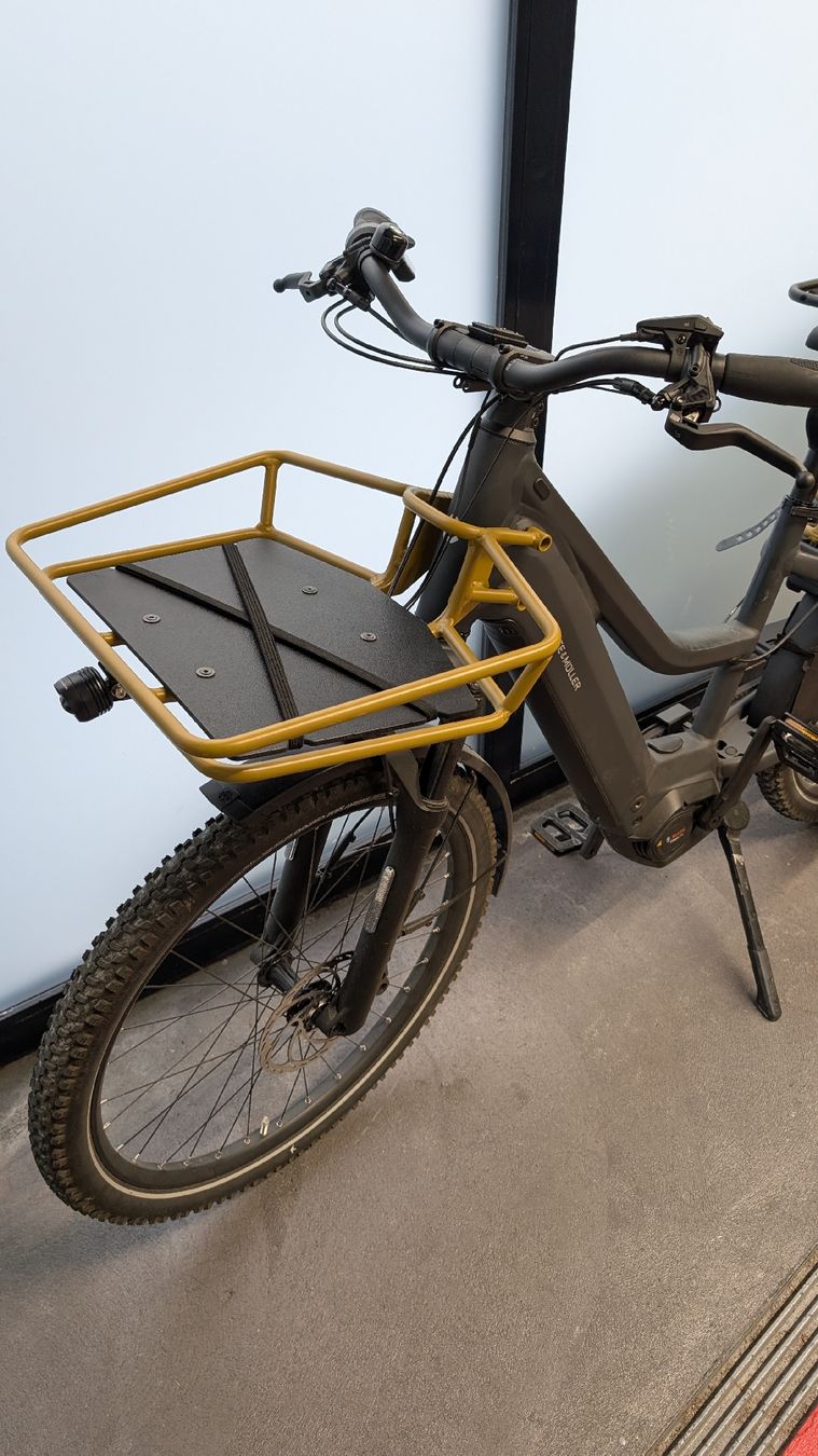 Riese & Müller Velos: Riese & Müller multicharger 3 - Family set up – Gebraucht aus Zürich von DaveTam 1