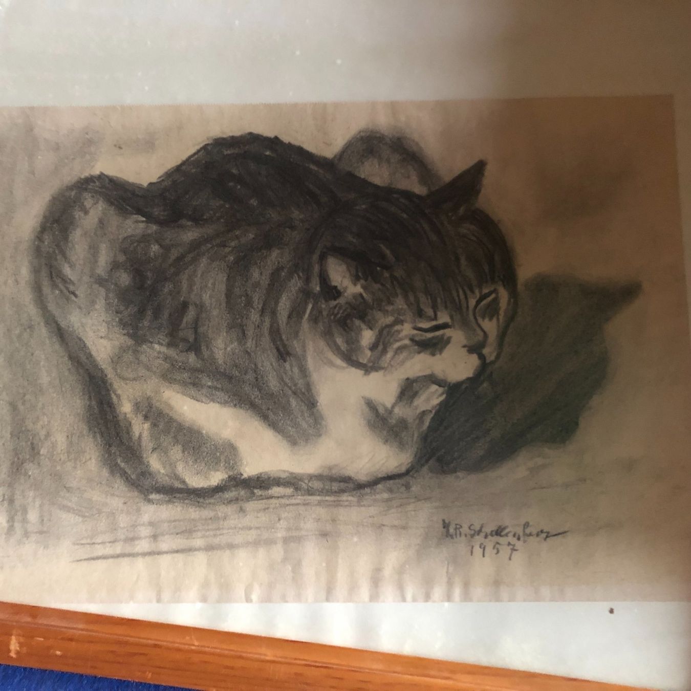 Leinwände & Keilrahmen: Tableau signé Schellenberg 1957 dessin d 'un chat 63/55 env. – Gebraucht aus Poliez-Le-Grand von Japi0