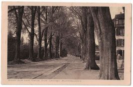 Bern, Weg zur Landesausstellung, gelaufen 1919