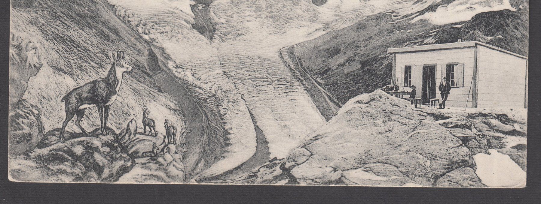 Cartoline postali: Originale alte Ansichtskarte Fuorcla Surlej mit Gemsen! – Nuovo (secondo la descrizione) da Brienz BE venduto da Diliplunz 1