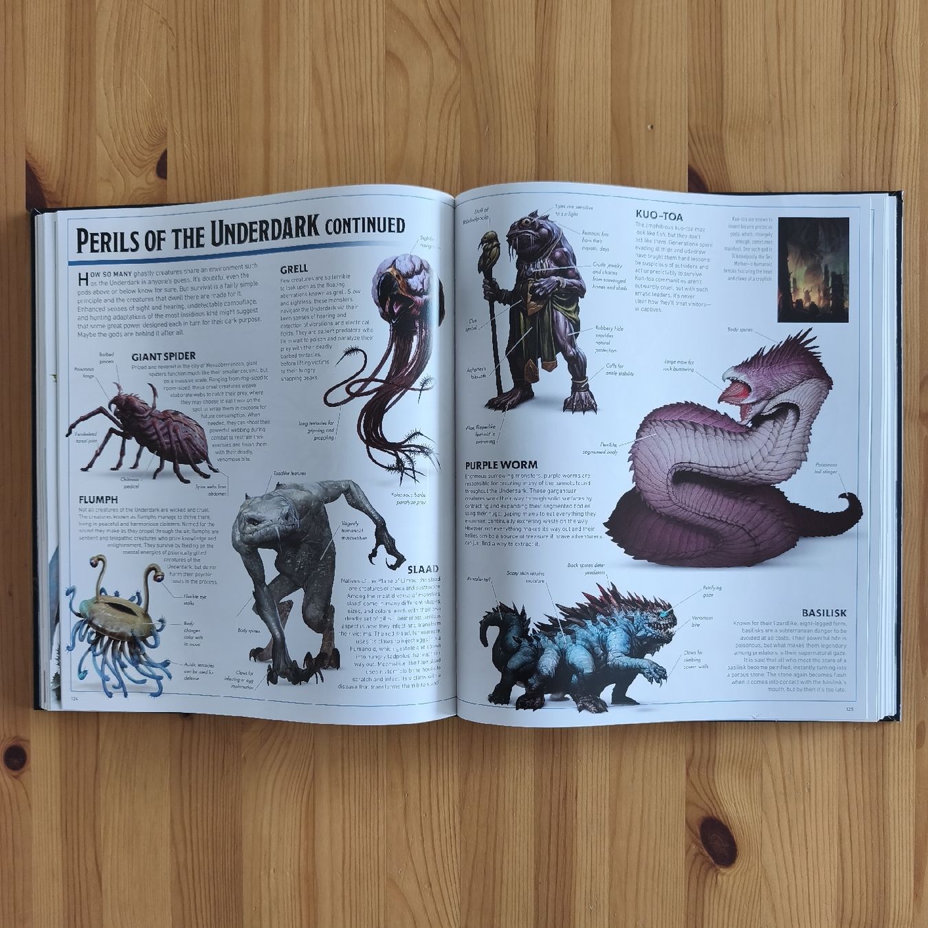 Bücher: Dungeons & Dragons Visual Dictionary – Neu (gemäss Beschreibung) aus Baar von IGN-Books 9