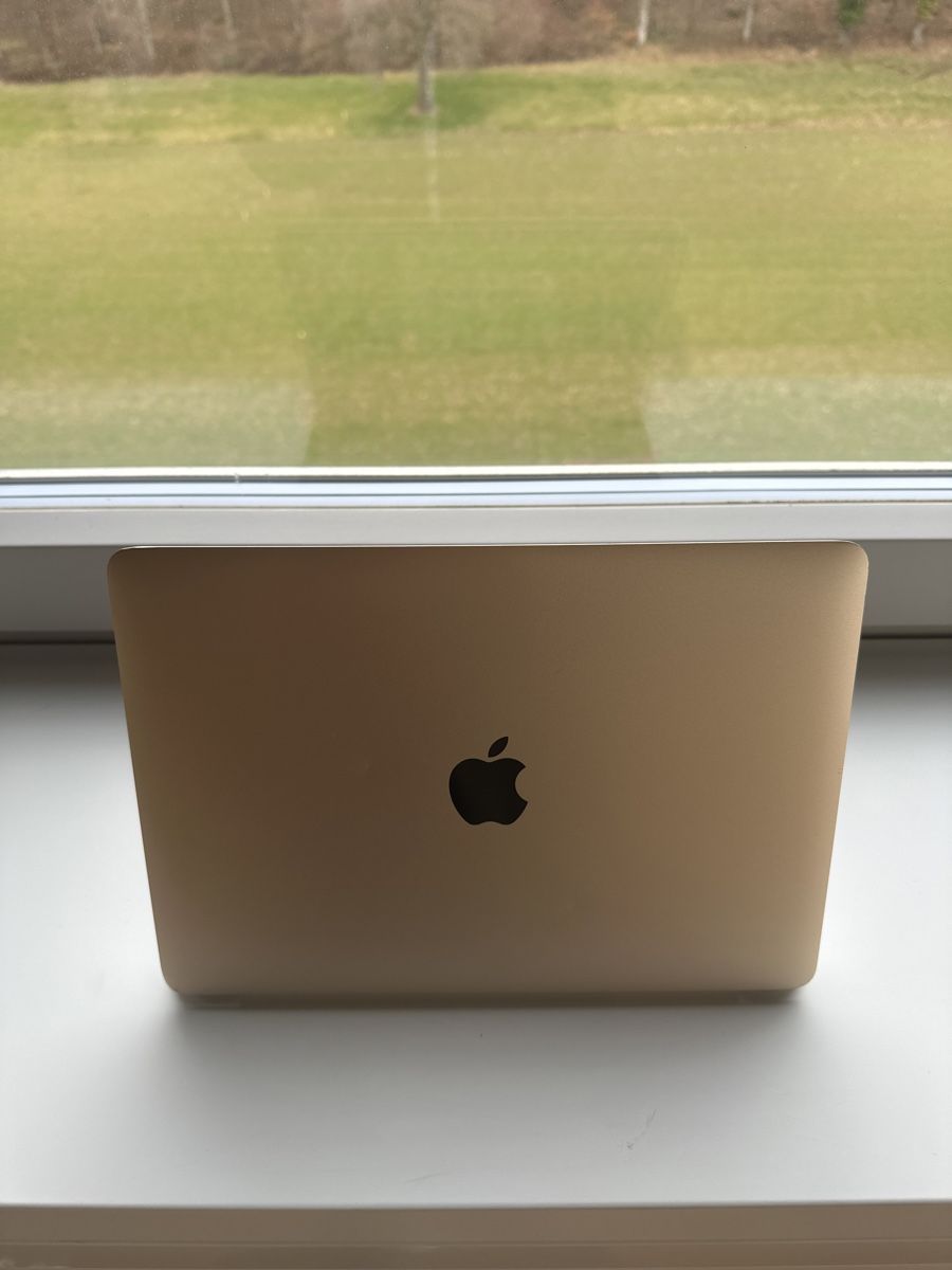 Apple Notebook: Macbook Retina gold – Usato da Pfäffikon ZH venduto da iva_7ktw 4