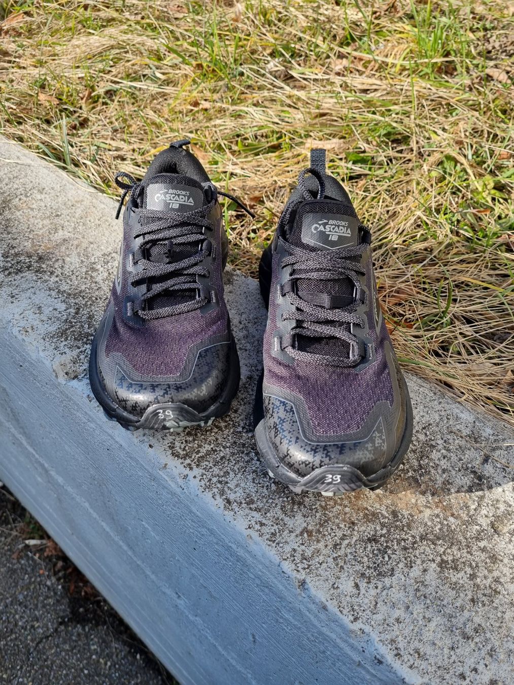 Brooks Scarpe da donna: Brook's Casadia 18 Schuhe Damen – Nuovo (secondo la descrizione) da Zürich venduto da blueeyes72