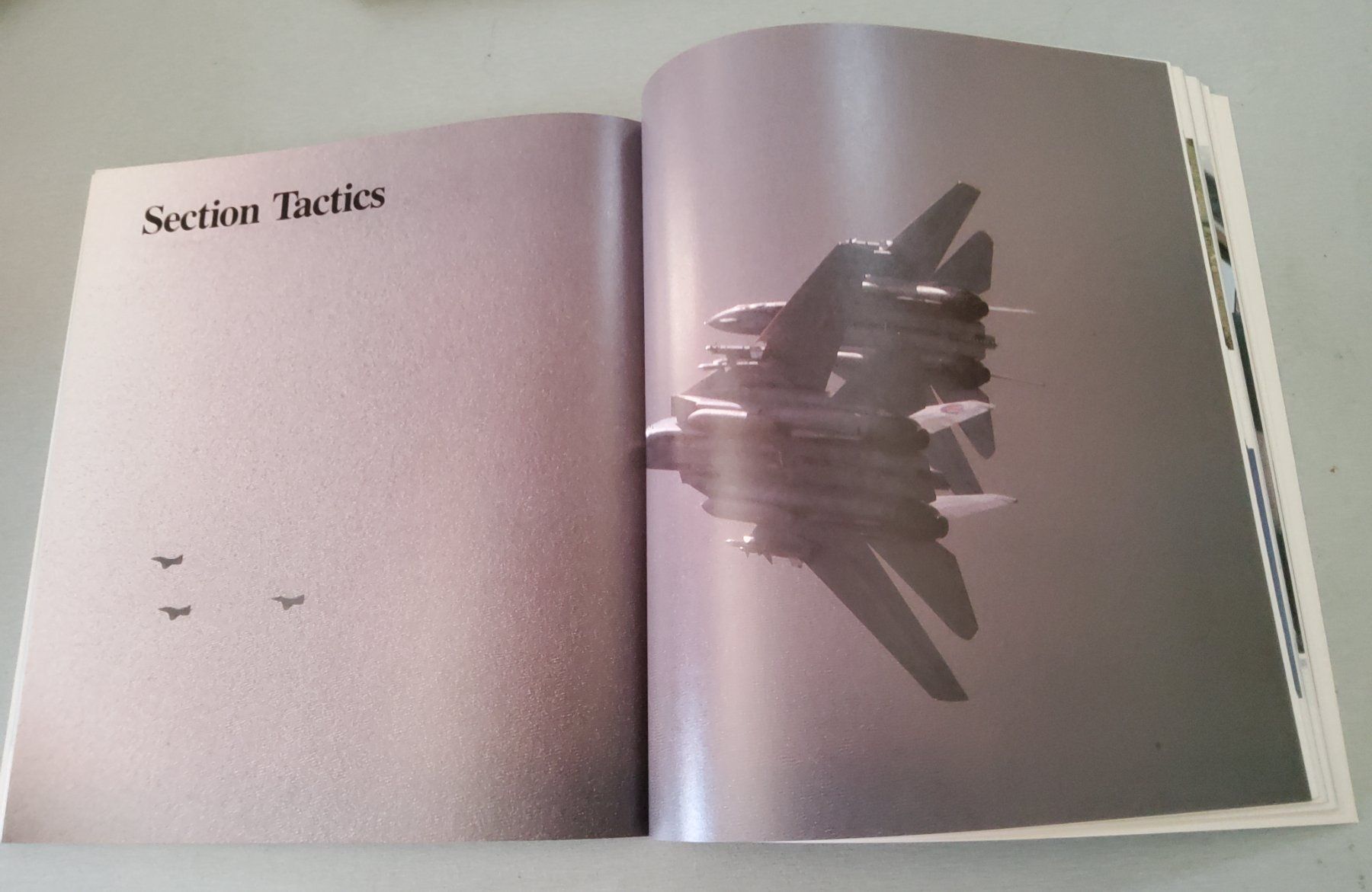 Libri: Aviatikbuch TOP GUN englisch 1987 – Usato da Grüningen venduto da VENOM59 1
