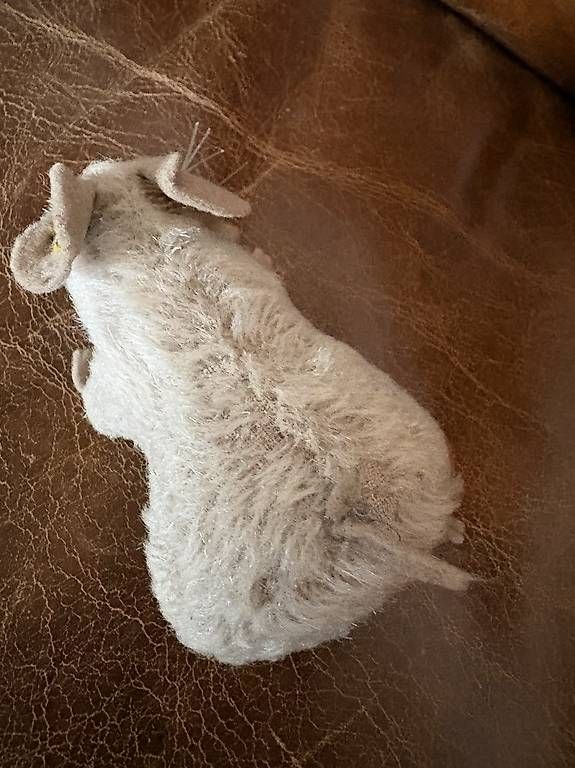 Giocattoli: Steiff Feldmaus "Mousy" - Classic Collection - ca. 2010  – Difettoso da Basel venduto da sin_5npn 2