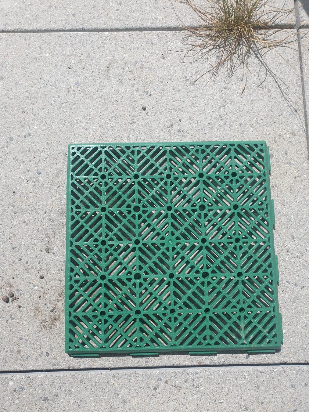 Rivestimenti per pavimenti: 48 grüne Gartenplatten – Nuovo (secondo la descrizione) da Wettingen venduto da Hypria