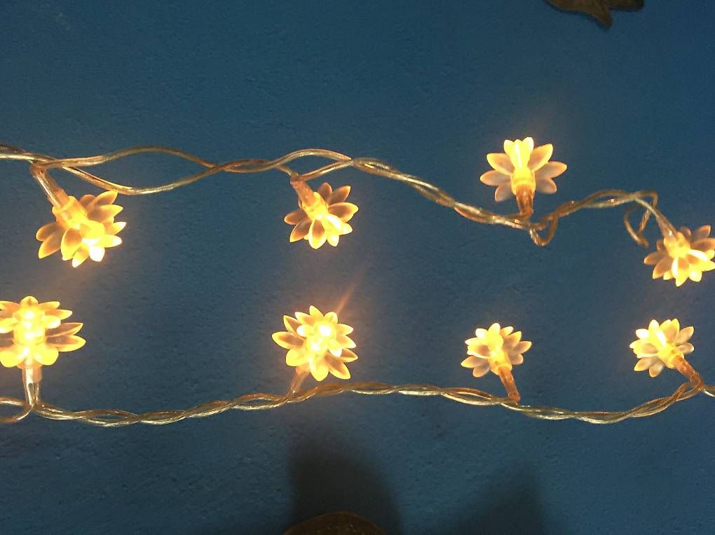 Lichterketten & Leisten: Leuchtkette Blumen – Gebraucht aus Zürich von BuenosAires03