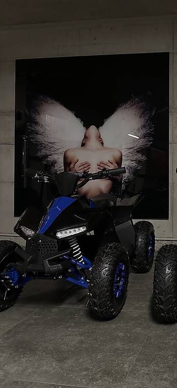 Mini Quads: Mini Quad – Gebraucht aus Hofstetten SO von Katharina_Nina_Nina 2