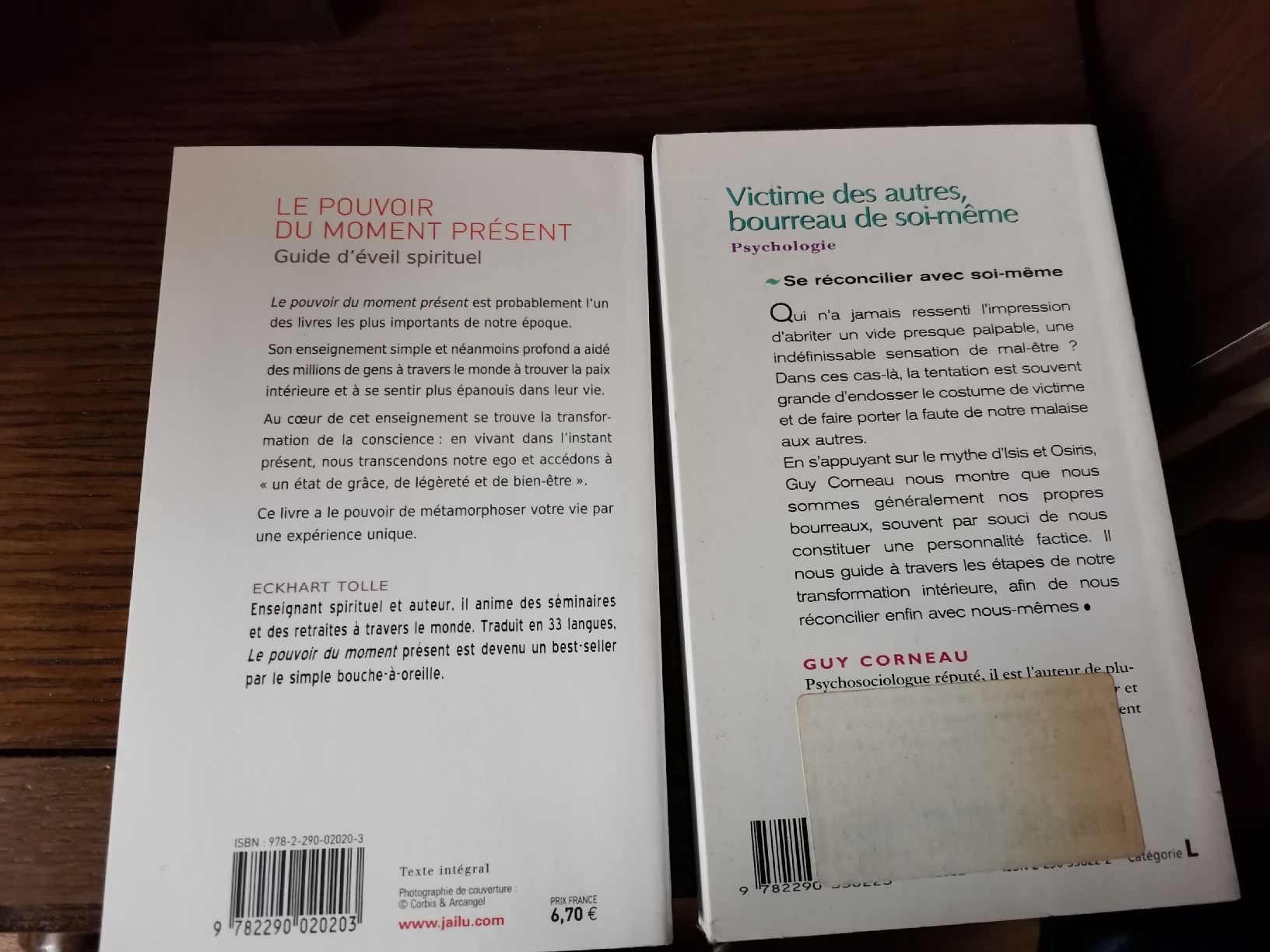 Livres: Livre psychologie – Neuf (Voir description) à Cournillens par masoeur 1