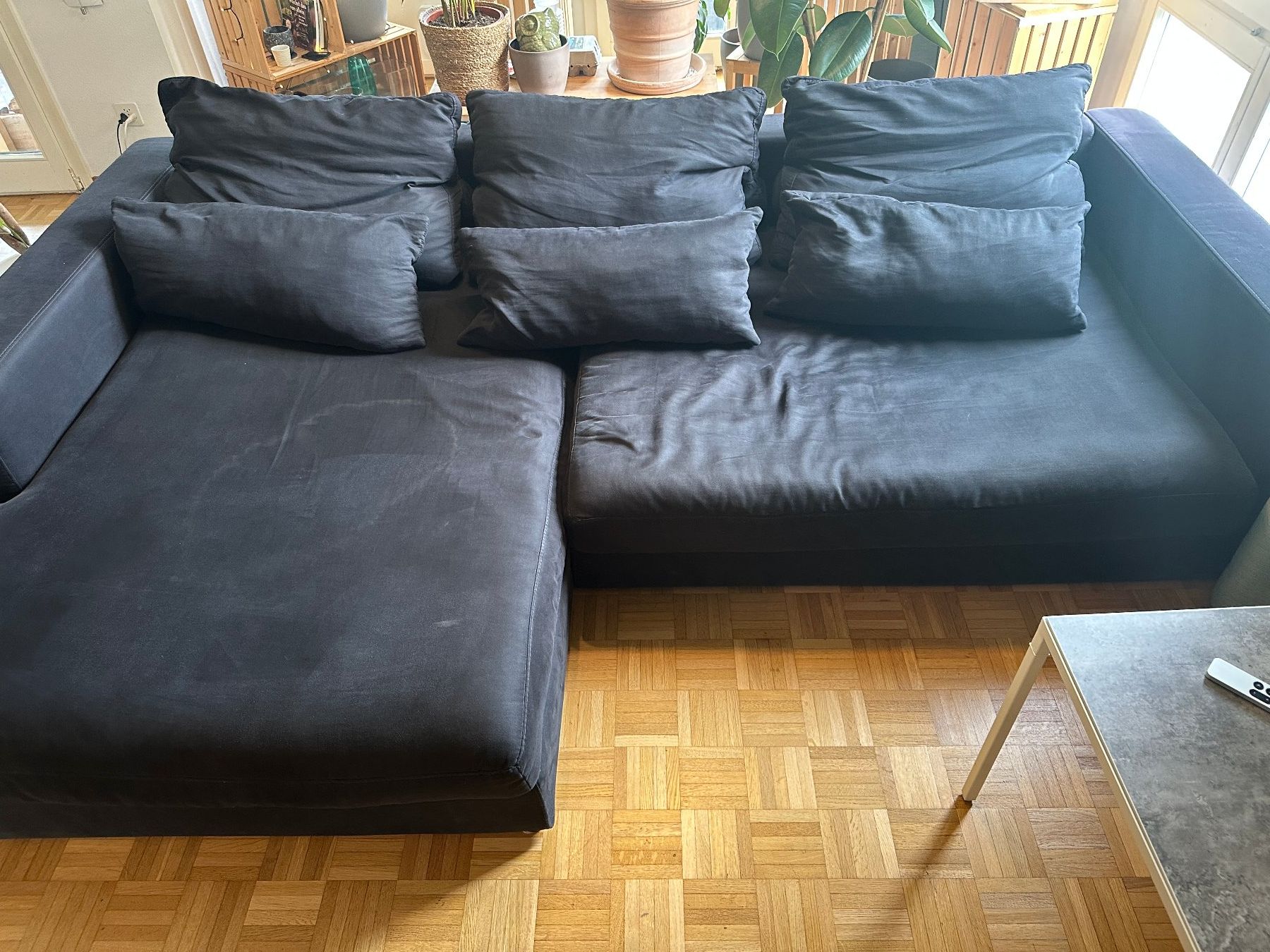 Micasa Divani: Micasa Sofa DARWIN – Usato da Winterthur venduto da Rosi2048 2