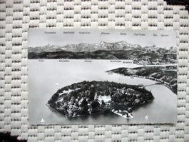 Insel Mainau im Bodensee Ansichtskarte