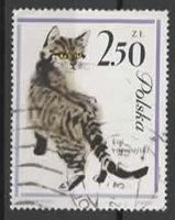 POLEN : WILDKATZE   (2