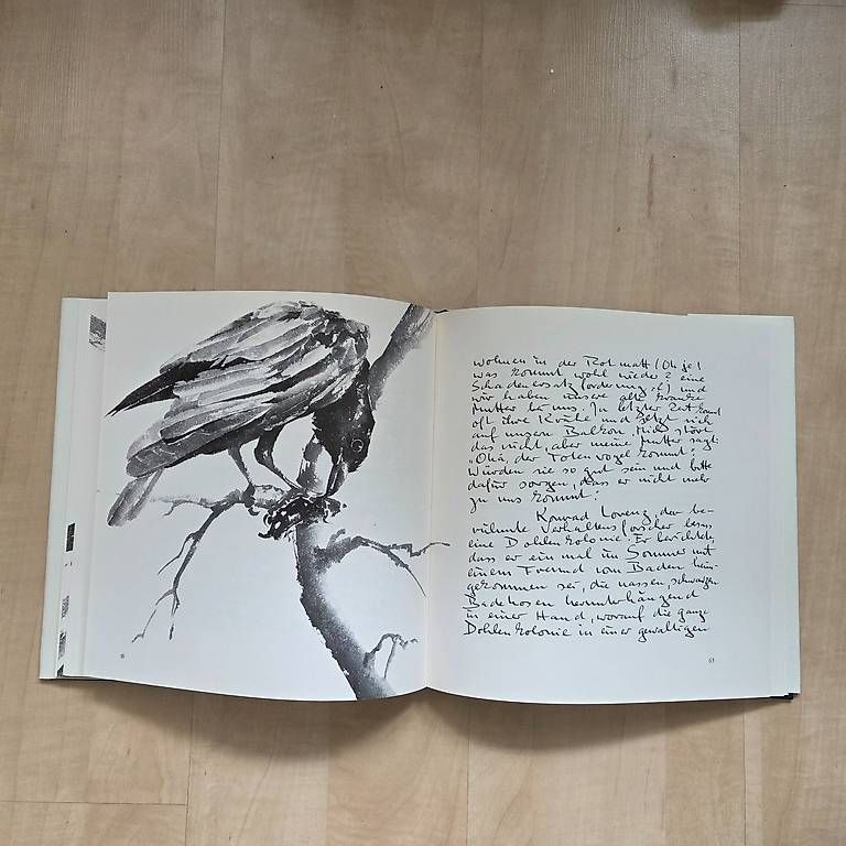 Libri: Giacomo die Krähe - Rolf Brem – Usato da Zug venduto da Sunshine_113 3