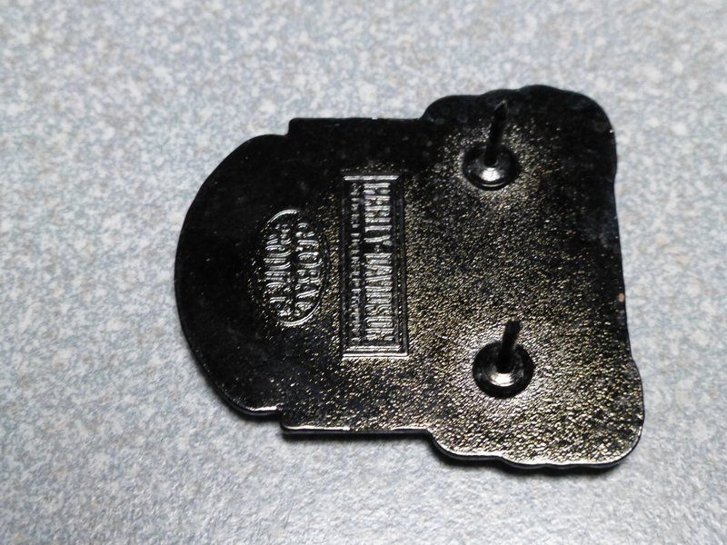 Placchette & Badge: PIN PINS HARLEY DAVIDSON HOG ABZEICHEN CHAPTER V-TWIN – Usato da Gränichen venduto da Jumbo77 4