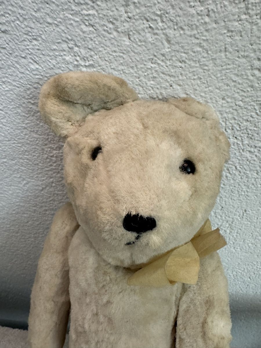 Giocattoli: Teddybär – Usato da Binningen venduto da kal_5nsj 8