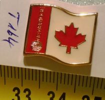 1 Newbridge Pin (T164)