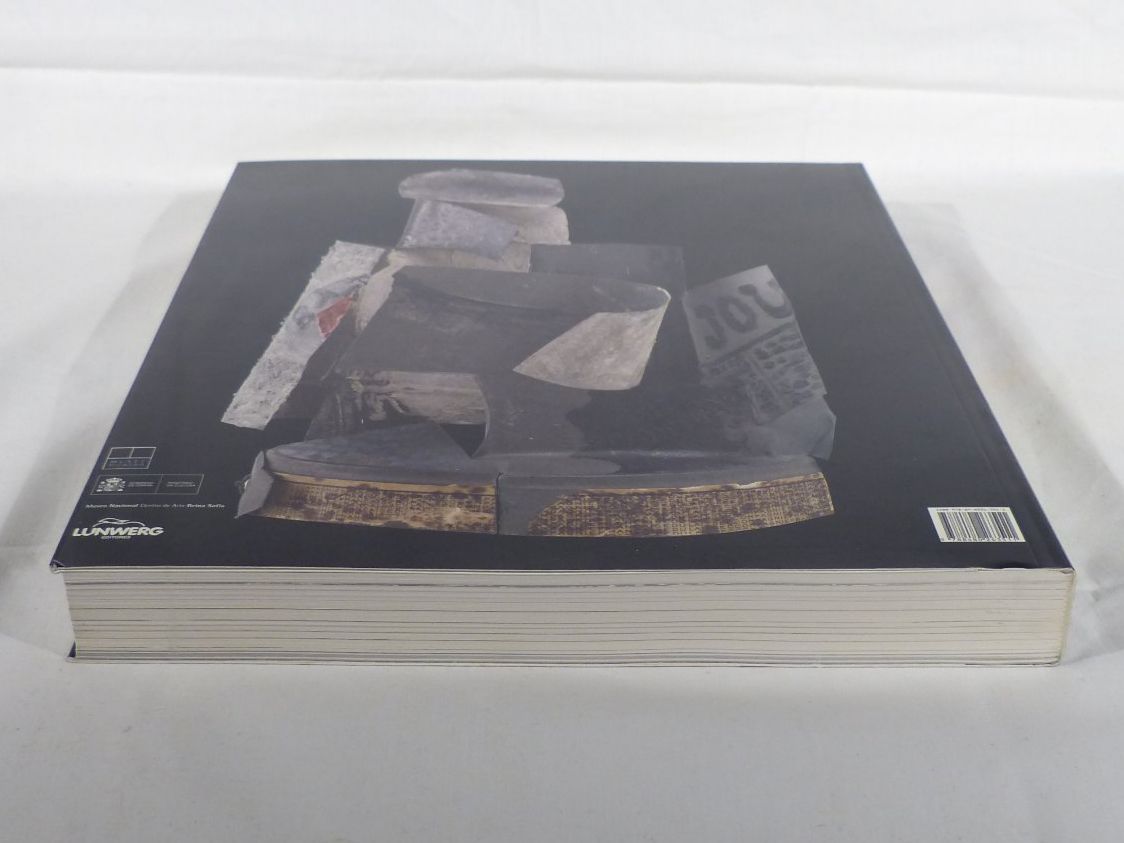 Libri: Pablo Picasso (Kunstband/Katalog) – Nuovo (secondo la descrizione) da Zürich venduto da botschinski 5