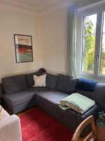 graues Bettsofa (Ikea Friheten)